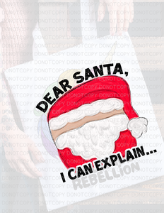 Dear Santa I Can Explain Direct to Film - DTF  Transfer