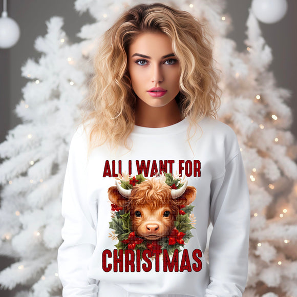 All I Want For Christmas Adult Tee, Crewneck Sweatshirt or Hoodie