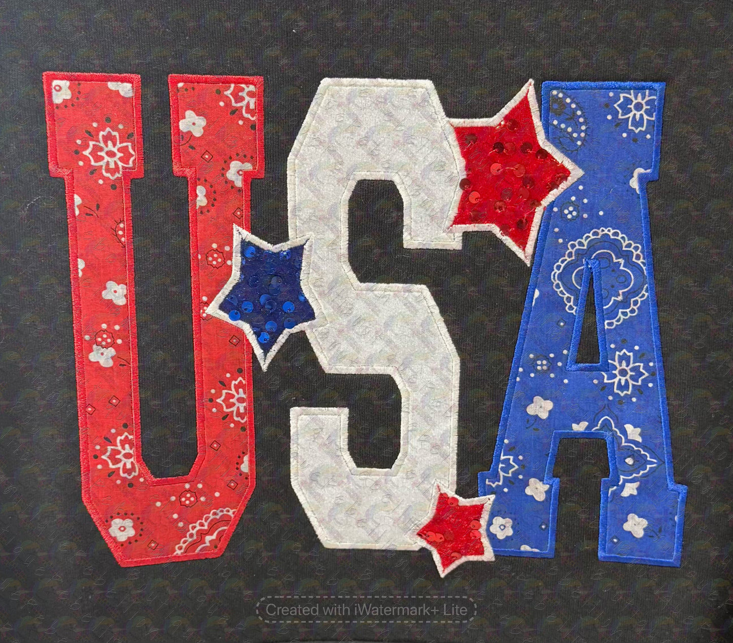USA Appliqué Embroidered Crewneck Sweatshirt with Pocket