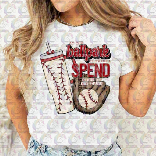 At the Ballpark Baseball Adult Tee
