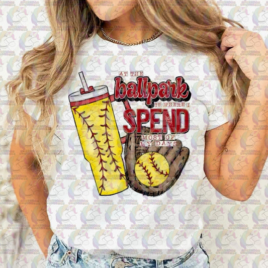 At the Ballpark Softball Adult Tee