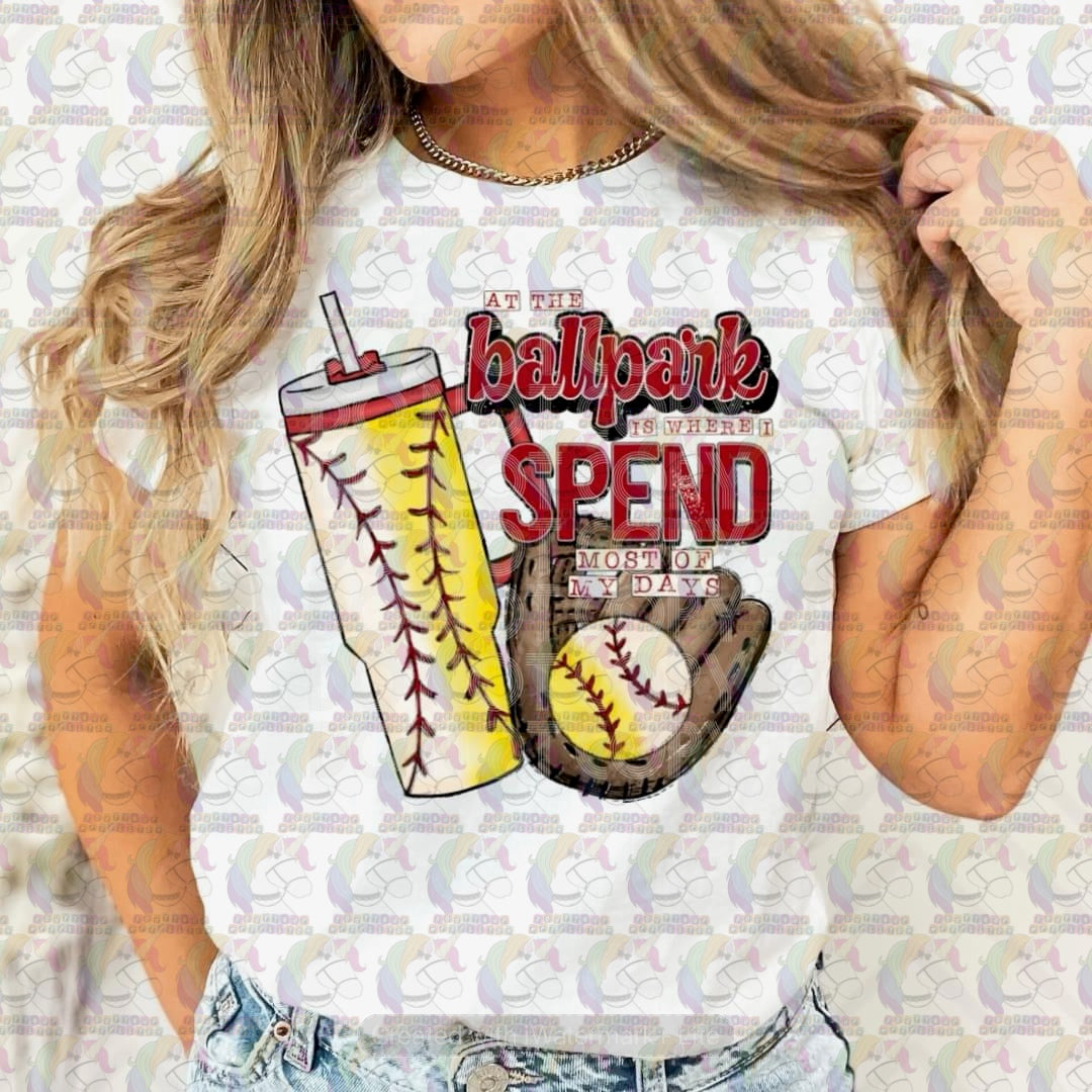 At the Ballpark Adult Tee
