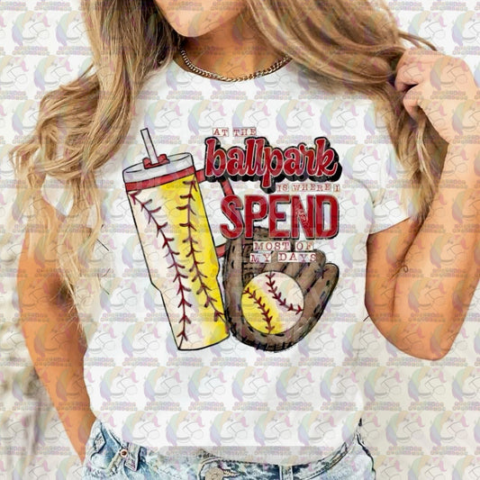 At the Ballpark Adult Tee