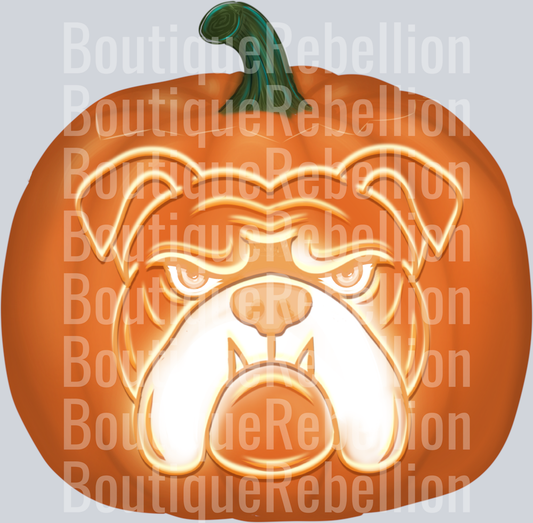bulldog pumpkin