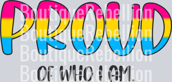 Proud Of Who I Am Pansexual Single DTF Transfer