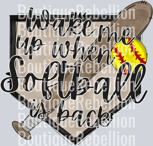 Wake Me When Softball is Back Single DTF Image