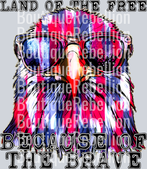 Land Of The Free